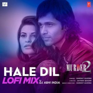 Hale Dil Lofi Mix (2022) Album Art