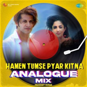 Hamen Tumse Pyar Kitna Analogue Mix (2023) Album Art