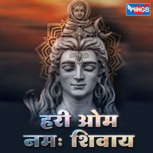 Hari Om Namha Shivay (2024) Album Art