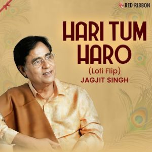 Hari Tum Haro Lofi Flip (2025) Album Art