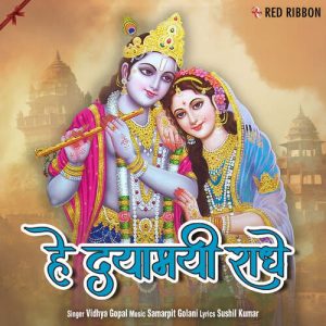Hey Dayamayi Radhe (2023) Album Art