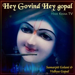 Hey Govind Hey Gopal (2023) Album Art