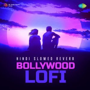 Hindi Slowed Reverb Bollywood Lofi (2022) Album Art