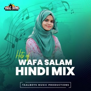 Hits of Wafa Salam Hindi Mix (2022) Album Art