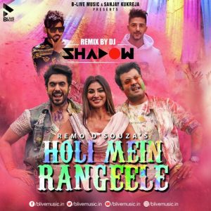 Holi Mein Rangeele (DJ Shadow Remix) (2021) Album Art