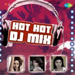 Hot Hot DJ Mixes (2005) Album Art