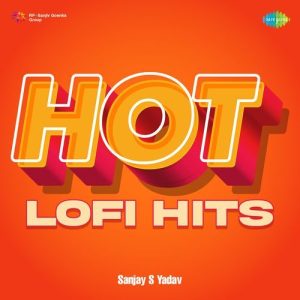 Hot Lofi Hits (2023) Album Art