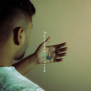 How to SIMP a butterfly (2024) Album Art