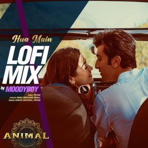Hua Main Lofi Mix (2024) Album Art