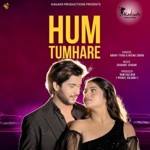 Hum Tumhare Album Art