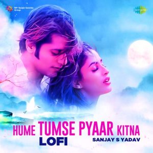 Hume Tumse Pyaar Kitna – Lofi (2023) Album Art