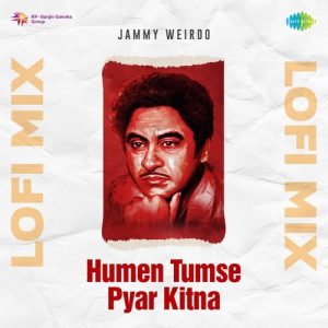 Humen Tumse Pyar Kitna Lofi Mix (2023) Album Art