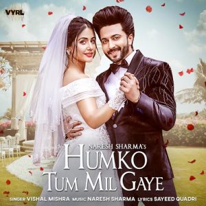 Humko Tum Mil Gaye (2020) Album Art