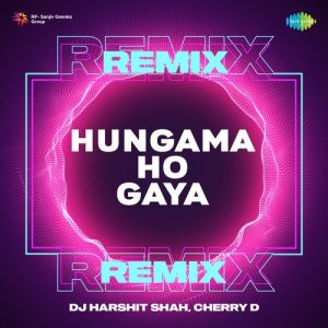 Hungama Ho Gaya Remix (2023) Album Art