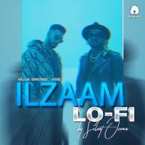 Ilzaam (Lo-Fi) (2024) Album Art