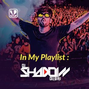 In My Playlist – Dj Shadow Dubai (2019) Album Art