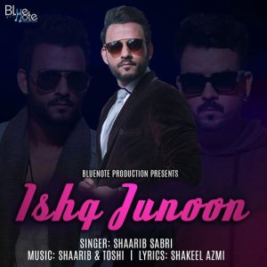 Ishq Junoon (2020) Album Art