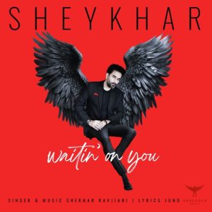Ishq Mehfooz (Waiting On You) (2024) Album Art