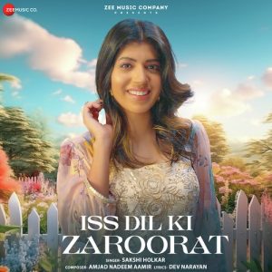Iss Dil Ki Zaroorat (2024) Album Art