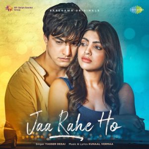 Jaa Rahe Ho (2022) Album Art