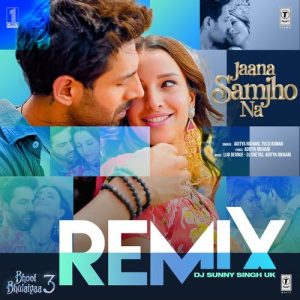 Jaana Samjho Na Remix (2025) Album Art
