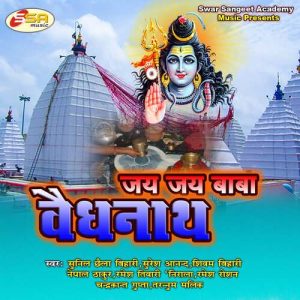 Jai Jai Baba VaidyaNath
