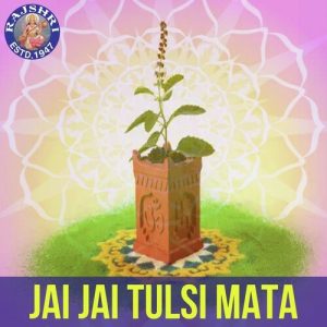 Jai Jai Tulsi Mata (2023) Album Art