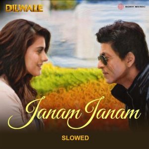 Janam Janam (Slowed) (2024) Album Art