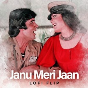 Janu Meri Jaan (Lofi Flip) (2024) Album Art