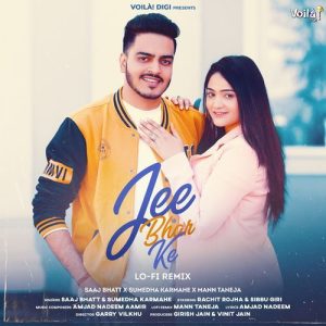 Jee Bhar Ke (Lo-Fi Remix) (2024) Album Art