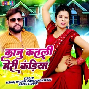Kaju Katli Meri Kandiya (2024) Album Art