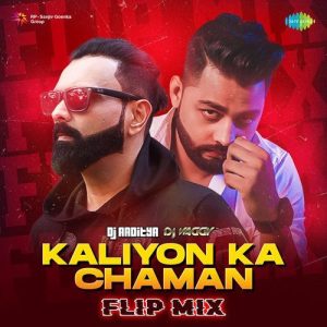 Kaliyon Ka Chaman – Flip Mix (2023) Album Art