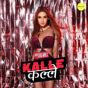 Kalle Kalle – Single (2020) Album Art