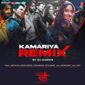 Kamariya Remix (2023) Album Art