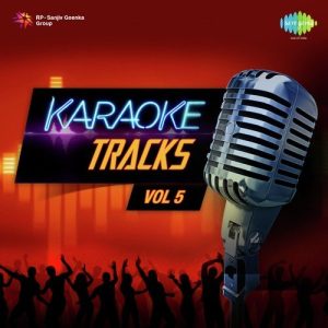 Karaoke Tracks Vol. 5 (2013) Album Art