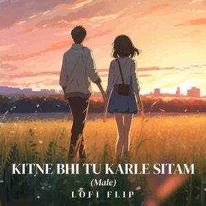 Kitne Bhi Tu Karle Sitam (Lofi Flip) (2024) Album Art