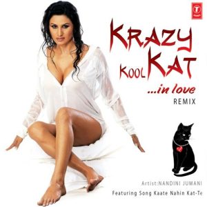 Krazy Kool Kat In Love Remix (2008) Album Art