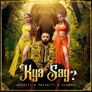 Kya Say? (2022) Album Art