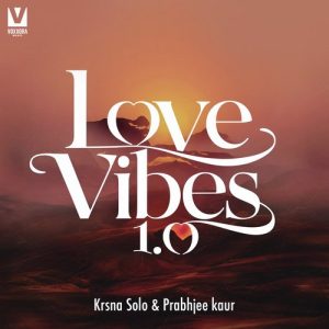 Love Vibes 1.0 (2021) Album Art