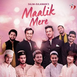 Maalik Mere (2020) Album Art