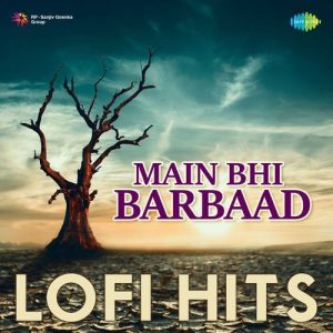 Main Bhi Barbaad Lofi Hits (2023) Album Art