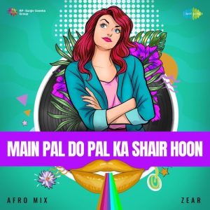 Main Pal Do Pal Ka Shair Hoon – Afro Mix