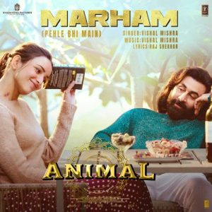 Marham (Pehle Bhi Main) [From “ANIMAL”] (2023) Album Art