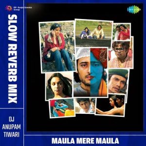 Maula Mere Maula – Slow Reverb Mix