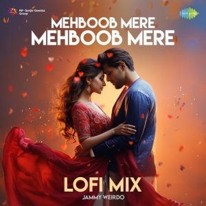 Mehboob Mere Mehboob Mere (LoFi Mix) (2024) Album Art