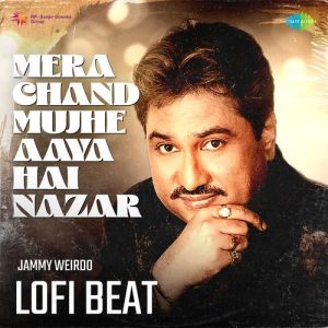 Mera Chand Mujhe Aaya Hai Nazar Lofi Beat (2024) Album Art