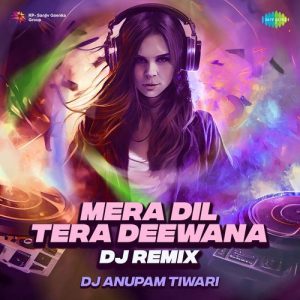 Mera Dil Tera Deewana – DJ Remix