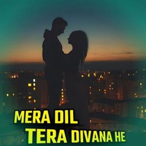 Mera Dil Tera Divana He (2024) Album Art