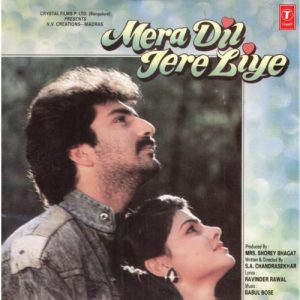 Mera Dil Tere Liye (1991) Album Art