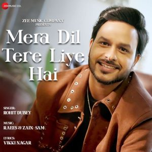 Mera Dil Tere Liye Hai (2024) Album Art